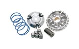 Variateur Maxi Hi-Speed Polini Yamaha Cygnus