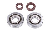Krukas Bearings HD + Seals FKM Naraku Kymco / SYM verticaal (GR1) – productfoto