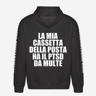La mia cassetta della posta ha il PTSD da multe Hoodie